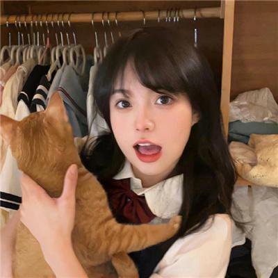 女神探宝盖丁海报