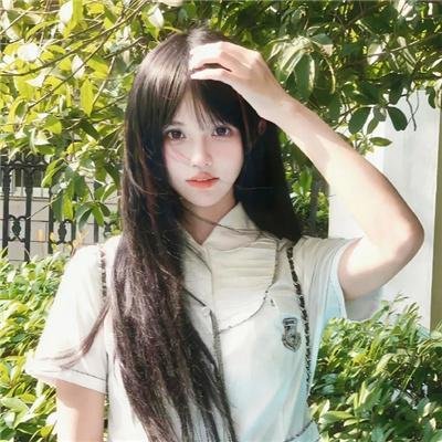 总统的分析海报